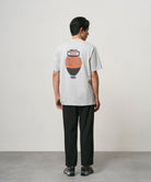 G6FM-T096_MIST_fitting_M3
