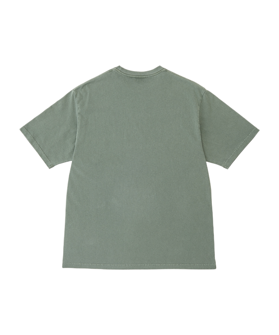 G6FM-T100_SAGEPIGMENT_product_2